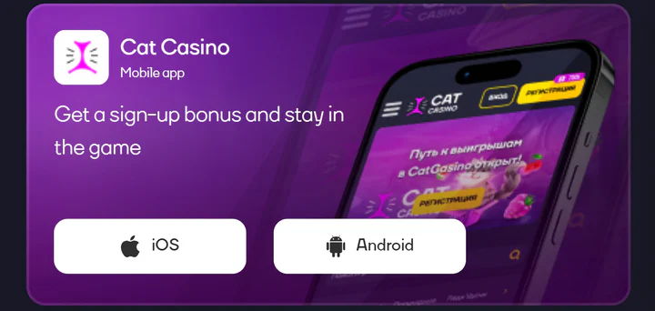 cat casino mobile app